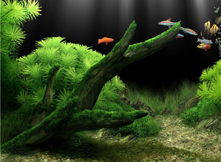 Dream Aquarium(梦幻水族馆) v1.10