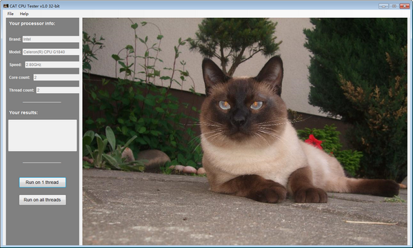 CAT CPU Tester(CPU检测工具) v1.7