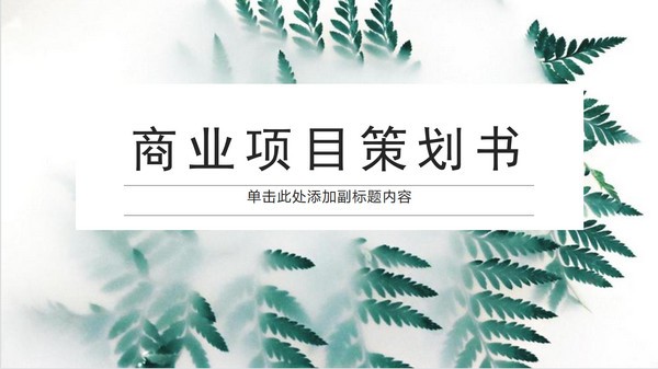 商业项目策划书PPT模板 v2.68