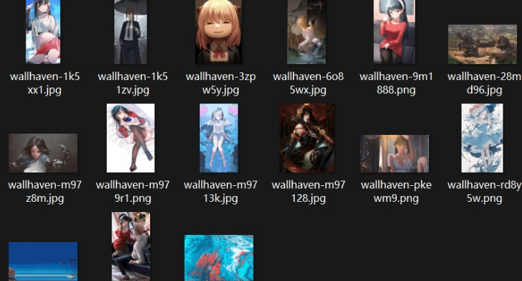 Wallhaven壁纸下载工具 v1.6