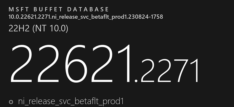 Win11KB5030316补丁 vKB5030316琛1.0